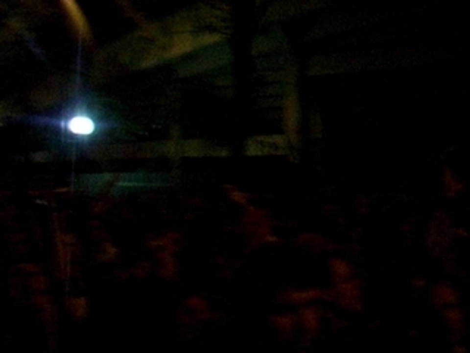 Paris-Lille : Hymne du LOSC