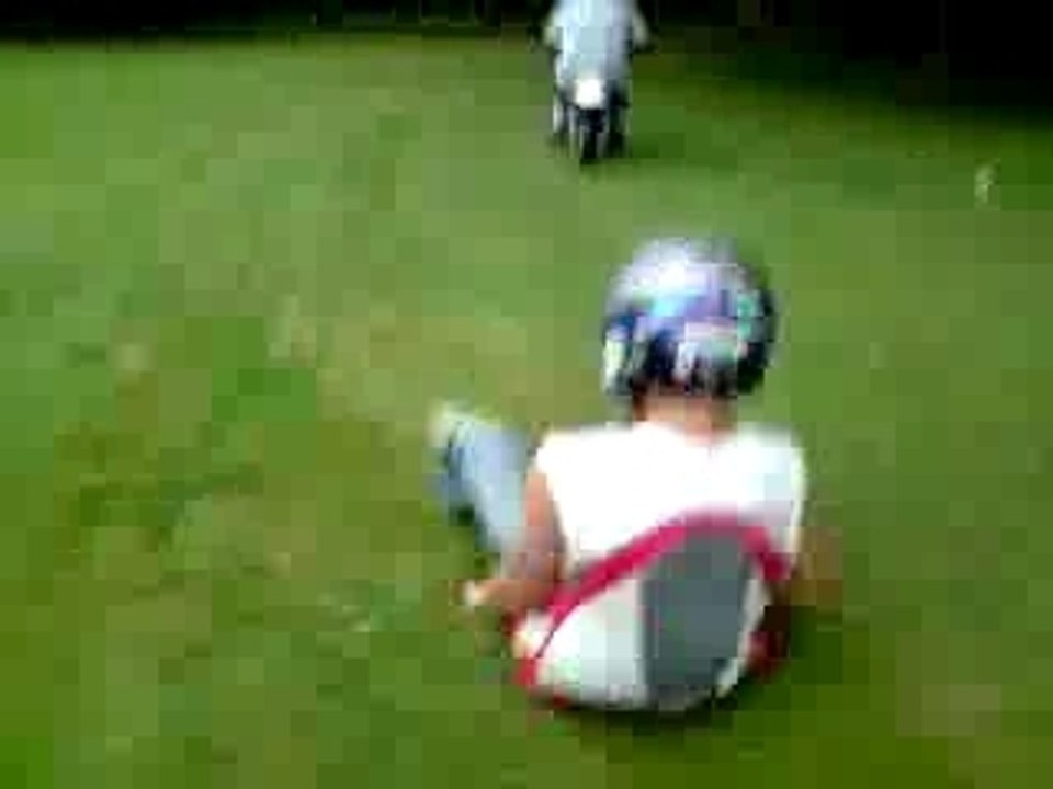 Piwi2