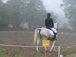 Nora reprise de dressage club poney 1 CCE