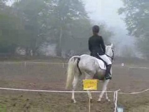 Nora reprise de dressage club poney 1 CCE