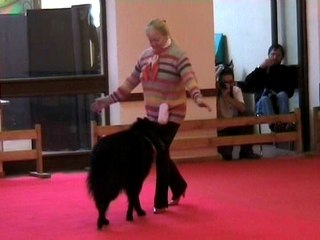 Chien1-passage2-[obe-remoulins-25-10-08]