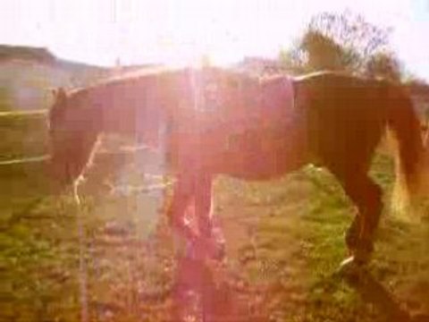 loulou seance de longe