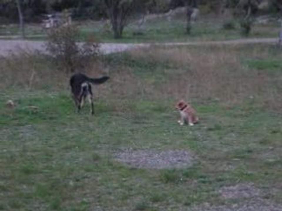 Rando Laïka et Dakota3