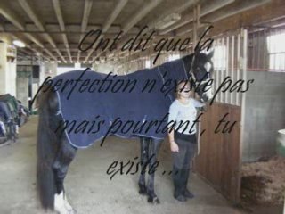 1er cour de saut avec mon Erwin .