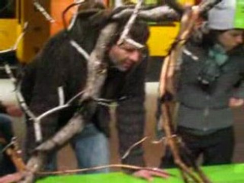 Jardin botanique fourmis