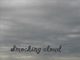 Owls 23 : Smocking cloud