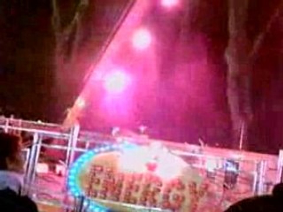 foire st Martin Angers 2008