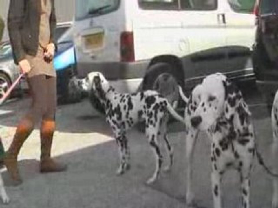 Castres 9 11 2008 les retrouvailles