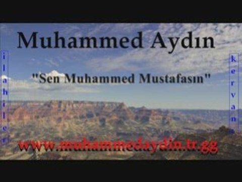 MUHAMMED AYDIN SEN MUHAMMED MUSTAFASIN