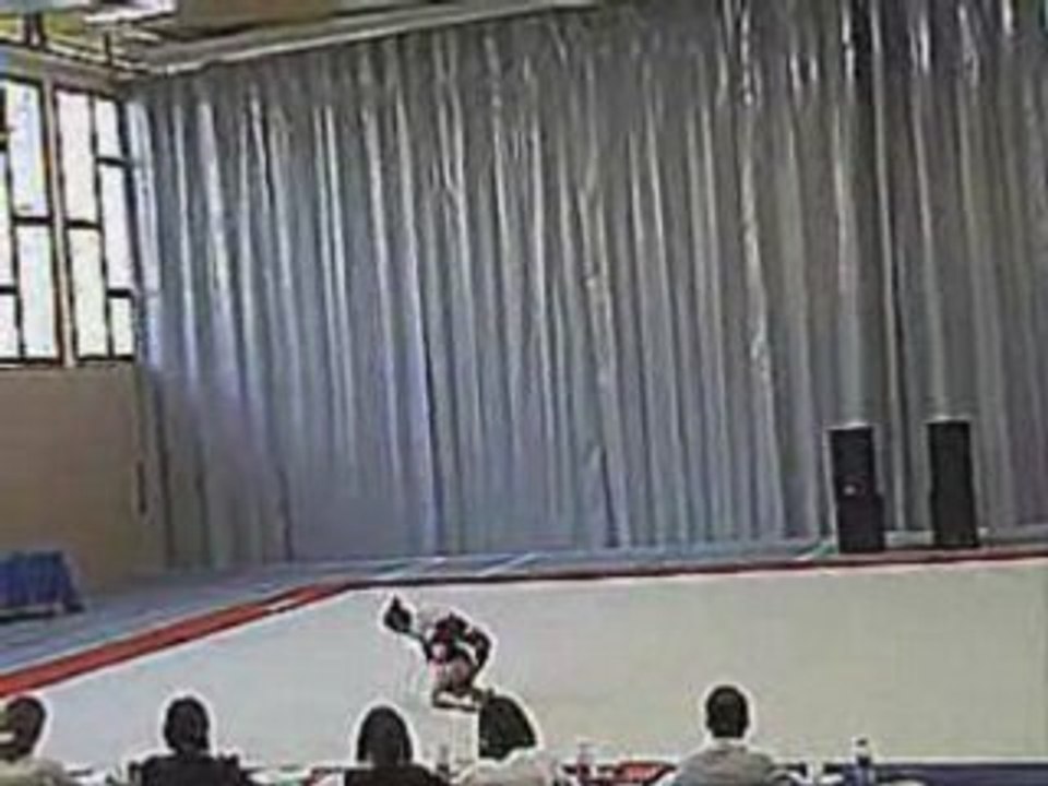 Indivs 2008