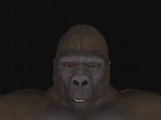 Honey honey singing ape