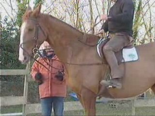 RENE ALLEMANDE ou FILET (d'Orgeix)