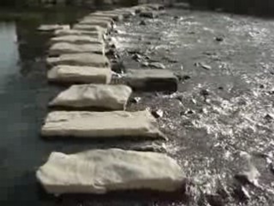 MOV00594