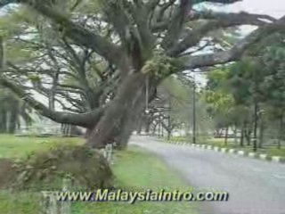 Taiping Lake Garden View 10, Perak, Malaysia
