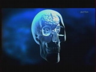 Reportage -  1sur3 Cocaïne et Stimulants