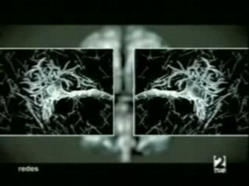 Intuicion y cerebro (Redes)