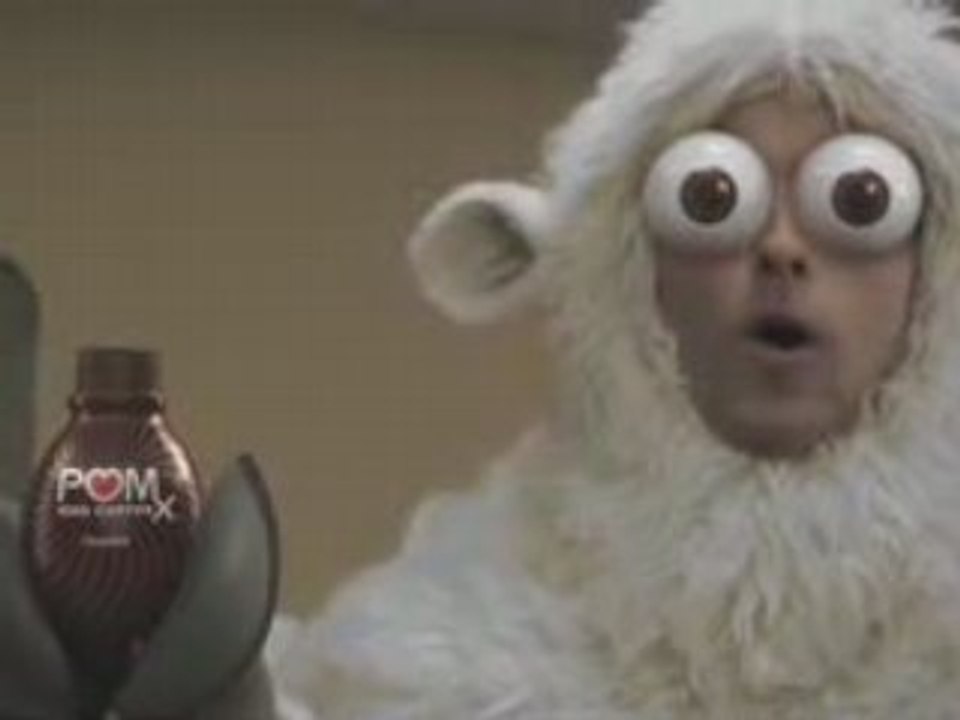 POMxIced_Coffee_Breakroom__What_the_flock_