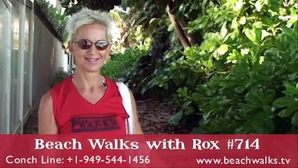 Beach Walk 714 - Life is Not So Linear