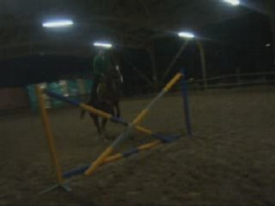 Lewis en saut