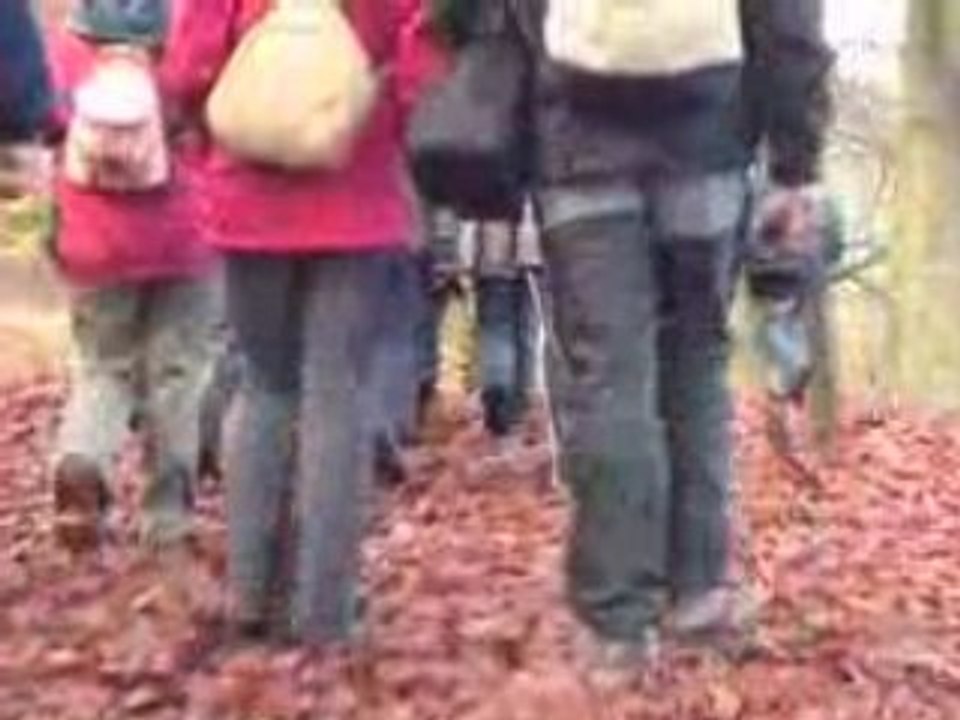 Turystyczny Rajd Pieszy z okazji Święta Niepodległości