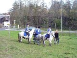 entrainement pony games