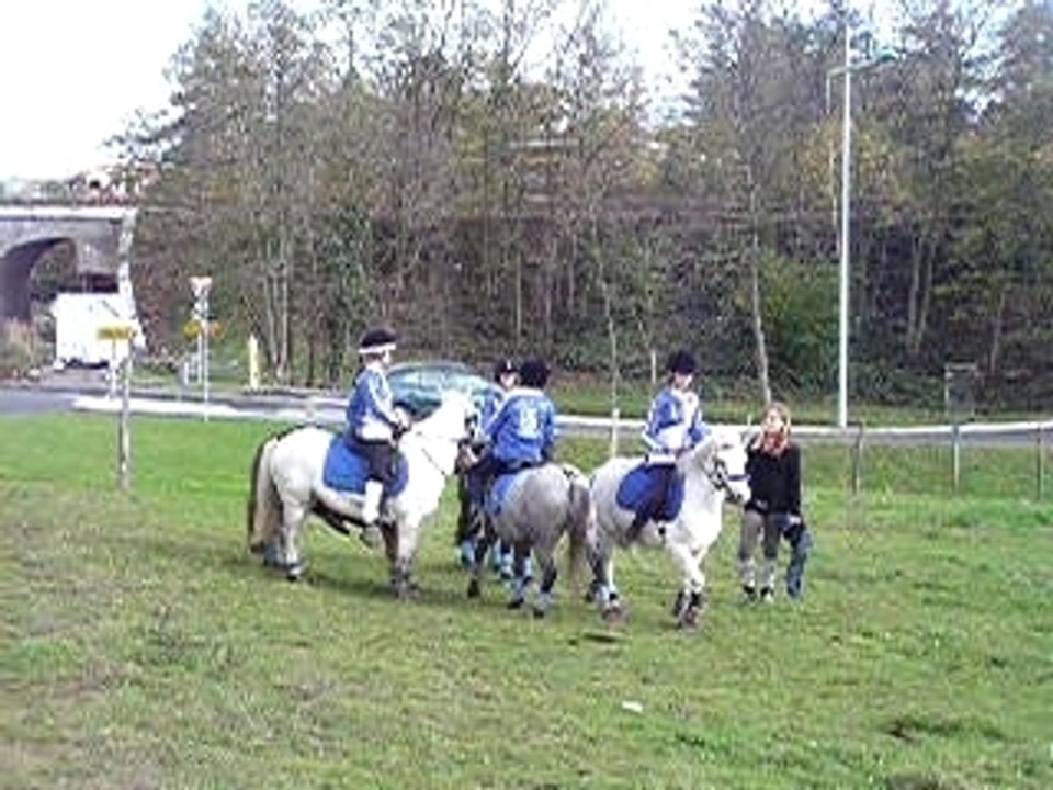entrainement pony games