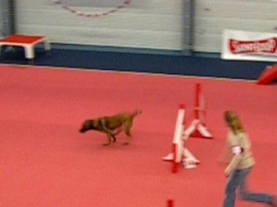 Alpha Novembre 2008 Terves