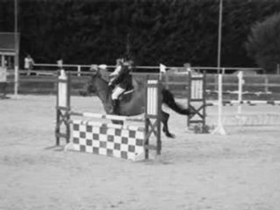 Cassandra && Pépite