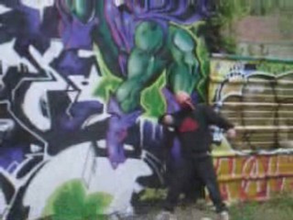 Montage VMD