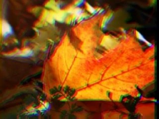 Herbst New Morning Lisa Lynne