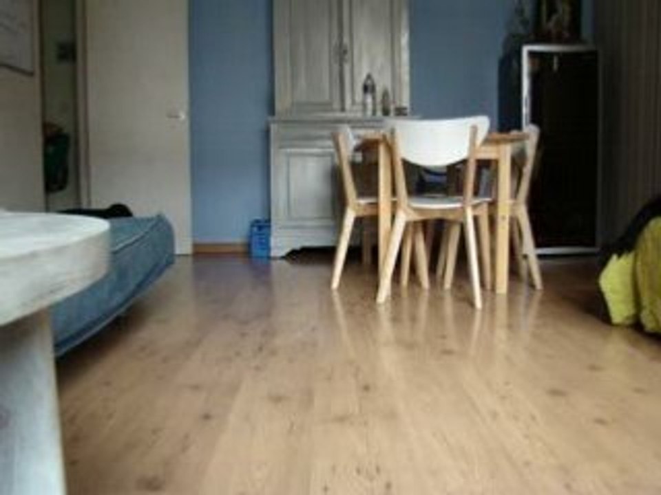 MOV01480