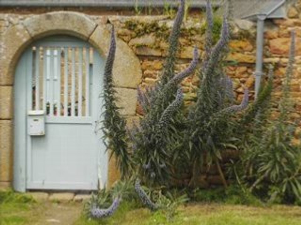 Turquie, Inde et Népal, Sénégal et Bretagne 2007