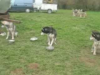après l'effort, les gamelles!