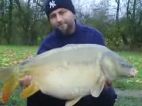 carpe miroir 7.7kg