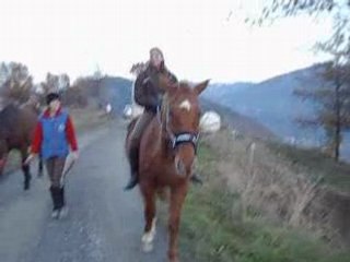Happy Rancho