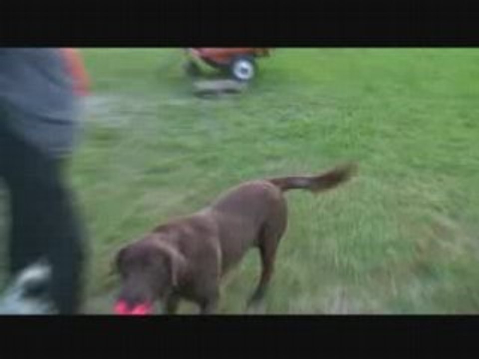 arrivée de Apple a la maison