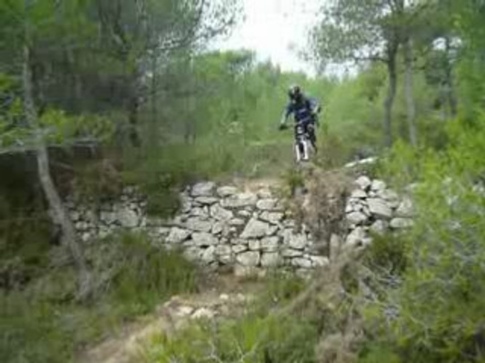 Nano Step Figue