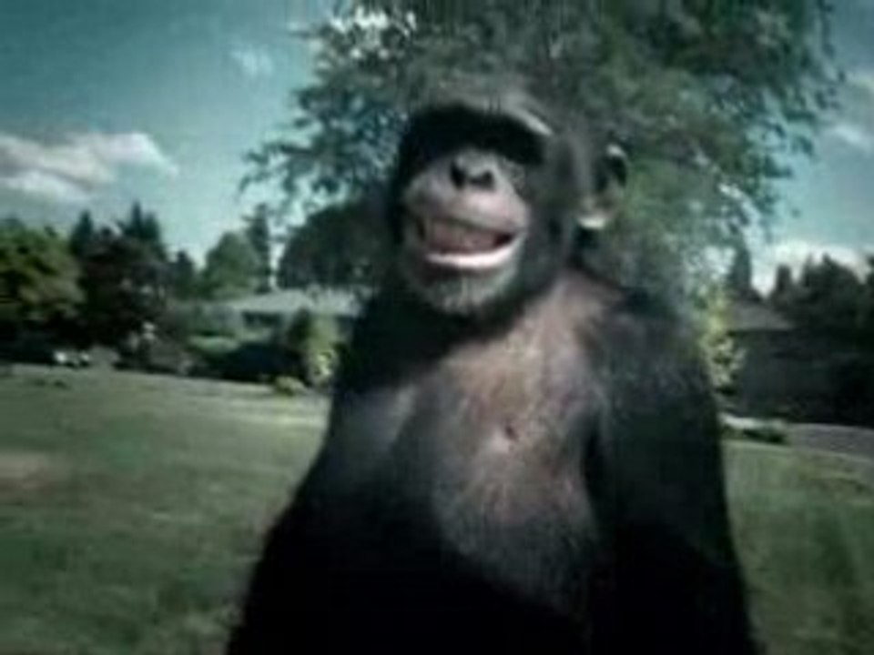 PUB - Suburban - Trunk Monkey °2