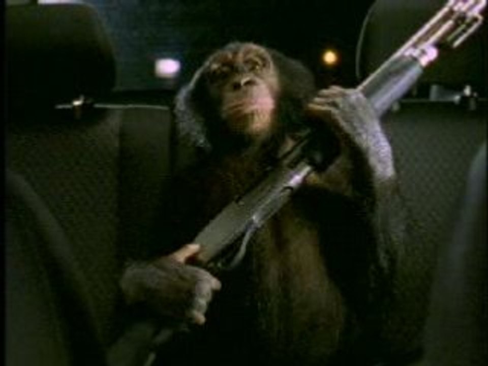 PUB - Suburban - Trunk Monkey °6