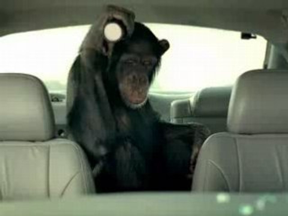 PUB - Suburban - Trunk Monkey °4