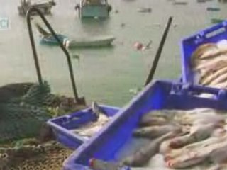 Les Côtes d'Armor fêtent le Cinéma