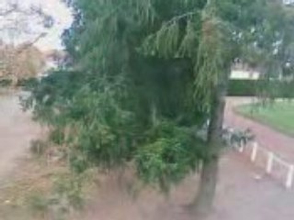 VID003