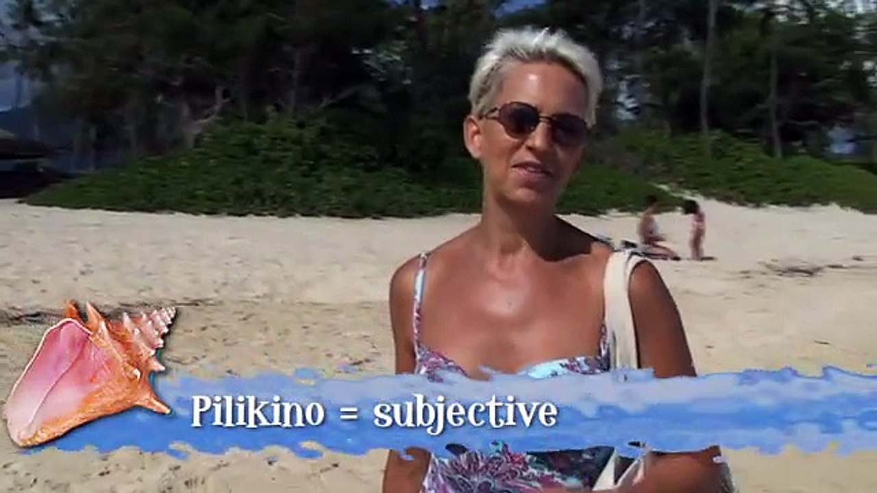 Beach Walk 686 - Does Experience Matter?