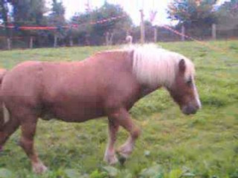 Laura neskuik famille amis 089