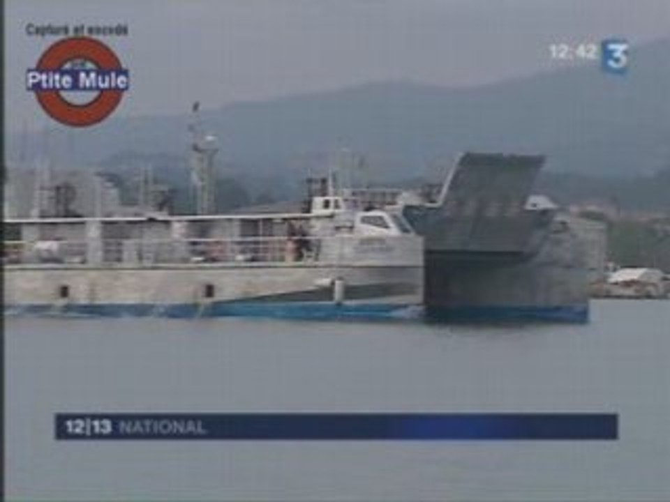 L'hybride des mers
