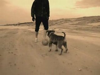 Movie_0001