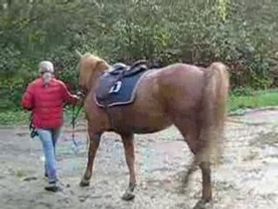 Debourrage noah3 005