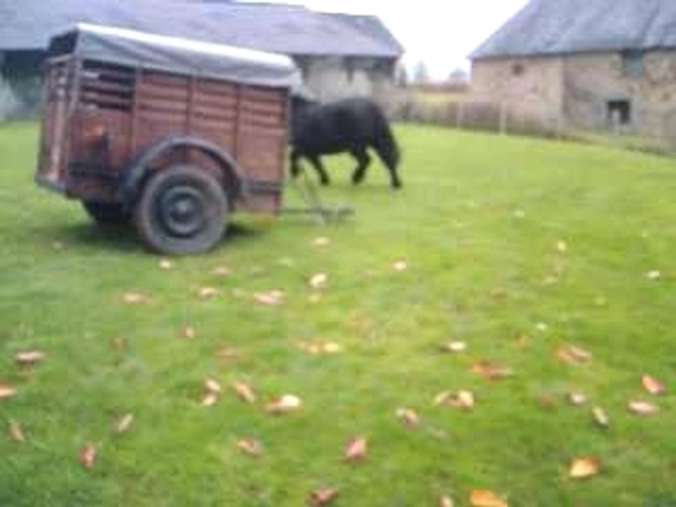 Laura neskuik famille amis 100