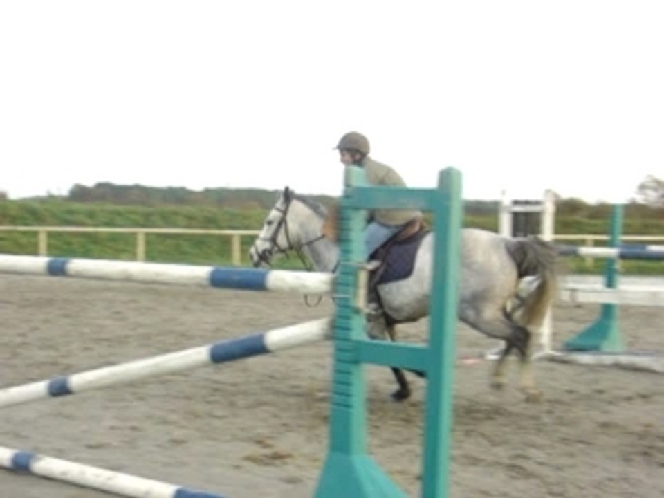 Nerva Entrainement 1m25