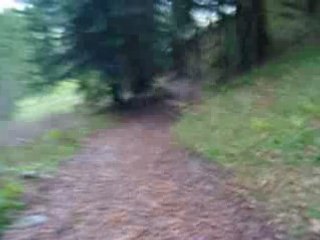 Descente Rando en Région de Gryuère (CH)